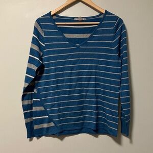 NWOT Smartwool Merino Wool Blue and Gray Striped V-Neck Sweater